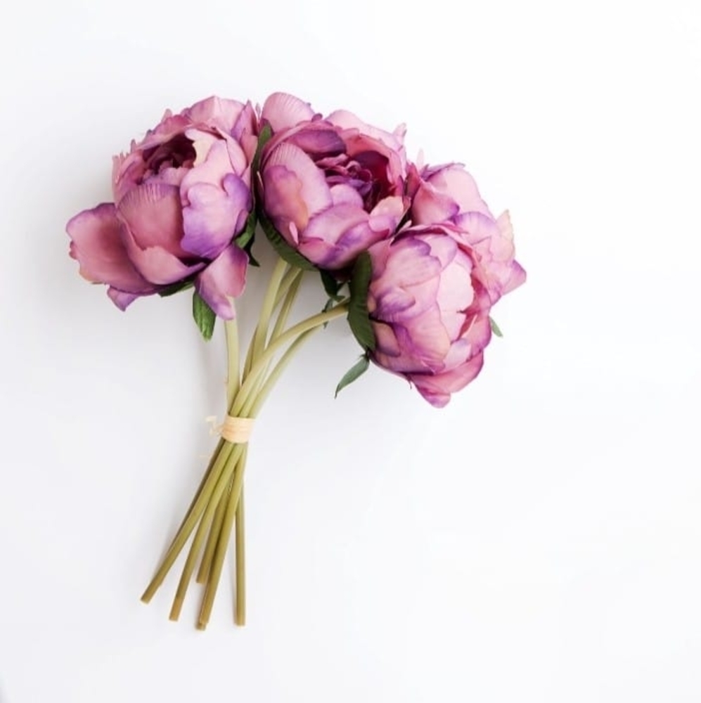 Meet your Posher, Rose